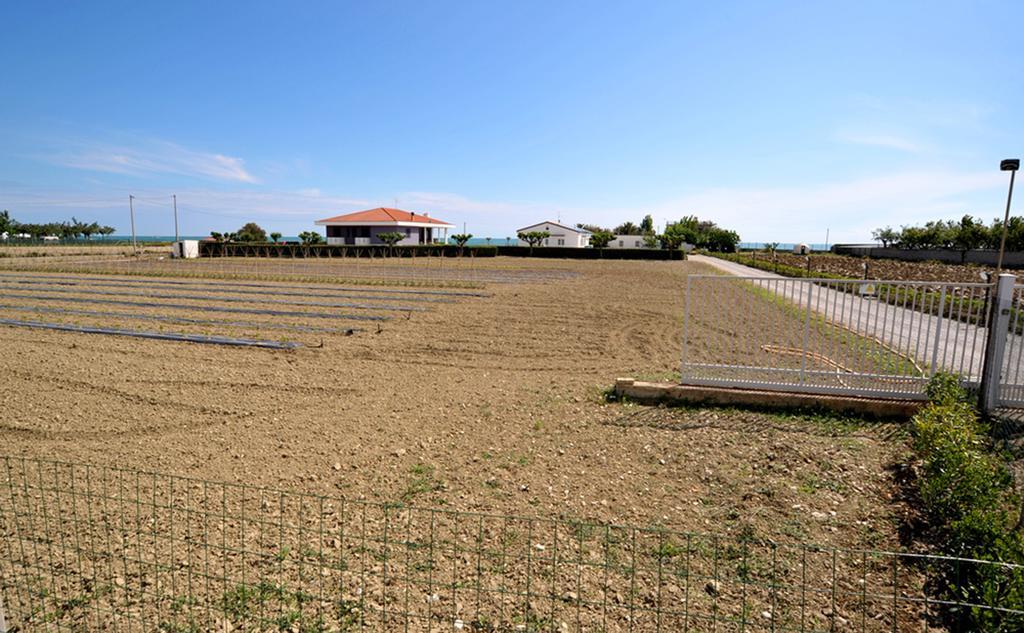 Agriturismo Frontemare 朱利亚诺瓦 外观 照片